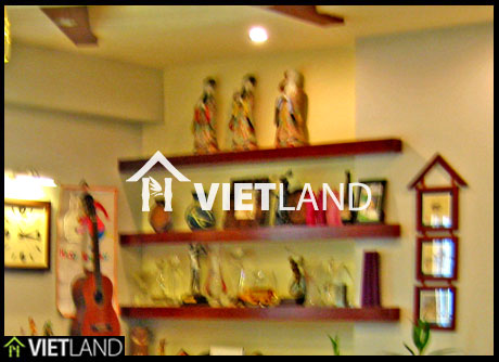Well-designed and spacious apartment for rent in west of Ha Noi