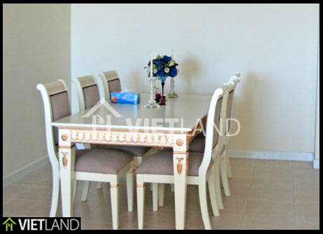 Spacious apartment with full and beautuiful furniture for rent in downtown of Ha Noi