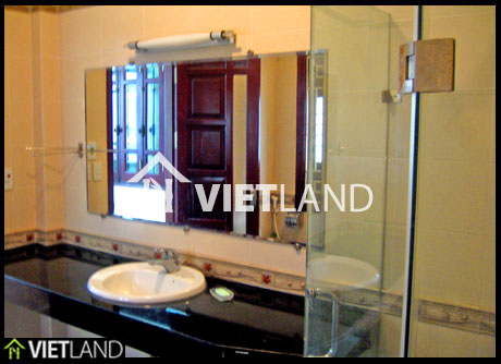 Apartment for rent in My Dinh II New Urbanization Zone, Ha Noi