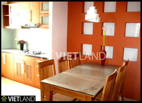 Brand new apartment for rent in Building 6 Doi Nhan, Ba Dinh district, Ha Noi