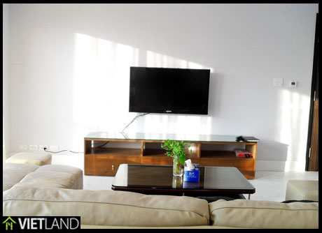 Nice brand new apartment for rent with 2 beds in Building Golden Westlake