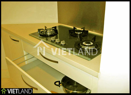 Building Golden Westlake: brand new apartment for rent with 2 beds in Tay Ho district
