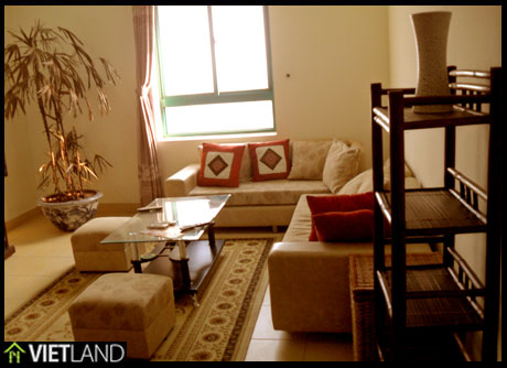 Nice and full furnishing apartment for rent in Kinh Do building, Hai Ba district
