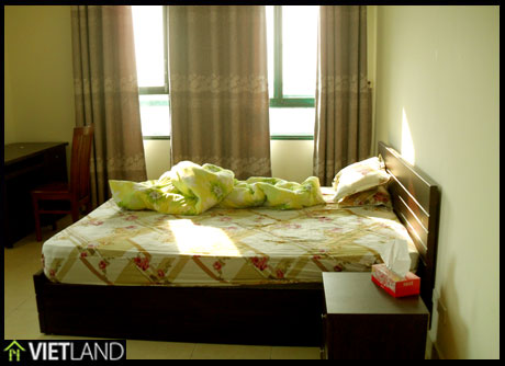 Nice and full furnishing apartment for rent in Kinh Do building, Hai Ba district