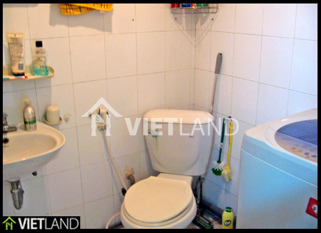 Fully furnished apartment for rent close to the VinCom Towers, Hai Ba district