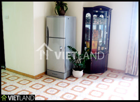 Fully furnished apartment for rent close to the VinCom Towers, Hai Ba district
