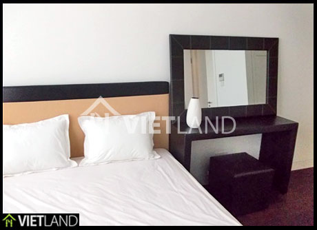 Apartment for rent in IndoChina 241 Xuan Thuy, Cau Giay district, Ha Noi