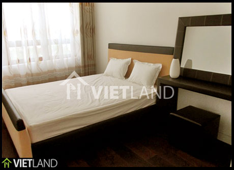 Apartment for rent in IndoChina 241 Xuan Thuy, Cau Giay district, Ha Noi