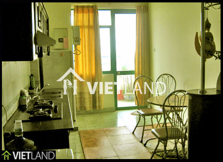 18T2 – Trung Hoa-Nhan Chinh: Apartment at 115 SQM large with 2 bedrooms for rent in Ha Noi 