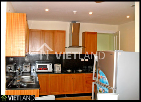 3 bed flat with Red River view to rent in Ciputra, Ha Noi