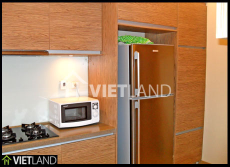 Brand new apartment for rent in Building SkyCity – 88 Lang Ha Street, Ha Noi