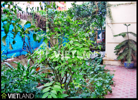 House in a very quiet and peaceful area in Tay Ho district, Ha Noi