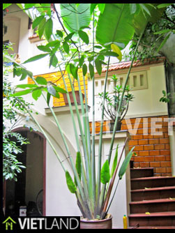 House with 4 bedrooms in Tay Ho district is for rent in Ha Noi