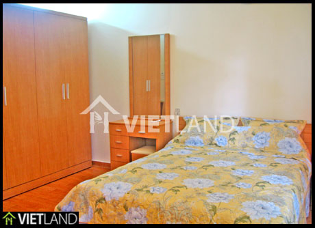 Downtown of Ha Noi: Nice and Furnished house to lease 