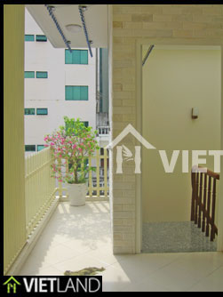 Downtown of Ha Noi: Nice and Furnished house to lease 
