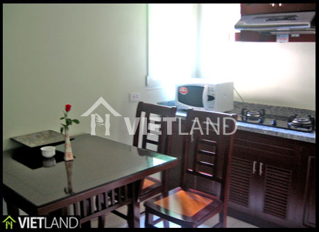 Serviced apartment for rent with walking distance to Ha Noi Opera House