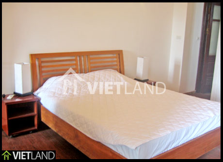 1 bedroom serviced apartment for rent at Huong Vien Lake, Hai Ba Dist, Ha Noi