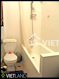 Walking distance to VinCom Tower: 1 bedroom serviced apartment for rent in Hai Ba Dist, Ha Noi
