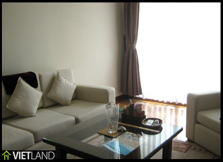 Perfect apartment located in the heart of Ha Noi