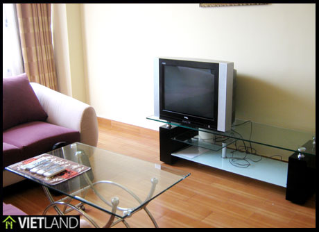 Brand new serviced apartment with beautiful furniture in downtown, Ha Noi