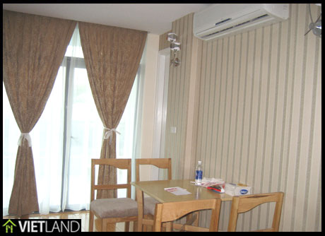 1-bedroom apartment for rent in Ha Noi, facing to Ha Noi Zoo Lake