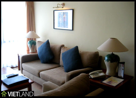 Luxurious serviced apartment with 2 beds for rent in downtown of Ha Noi