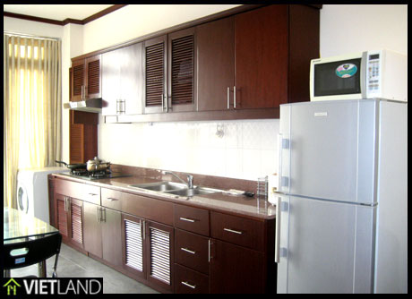 Serviced apartment for rent in Trieu Viet Vuong Str