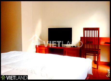 Fully serviced apartment for rent in Lieu Giai street, Ba Dinh district, Ha Noi