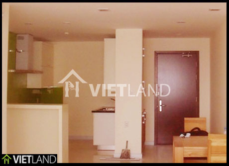 Charming design – brand new apartment for rent in Xuan Thuy Cau Giay district, Ha Noi