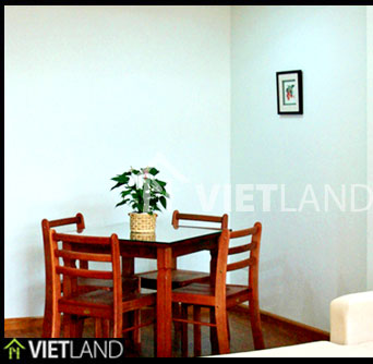 Serviced apartment with 1 large bedroom for rent in Thi Sach street, Hai Ba Trung district, Ha Noi