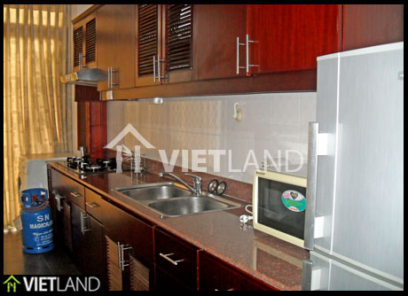 Beautiful services apartment with 2 bedrooms for rent in Hai Ba District, Ha Noi	  