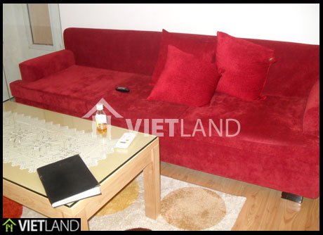 Luxurious serviced apartment with nature wood furniture, plasma TV, parkview for rent in Hai Ba district