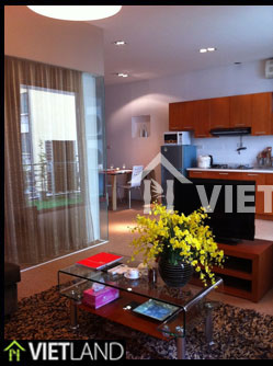 Beautiful and fully furnished with service apartment for rent in downtown of Ha Noi