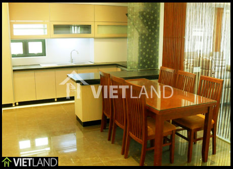 Large and big serviced apartment for rent in Doi Can street, Ba Dinh district, Ha Noi