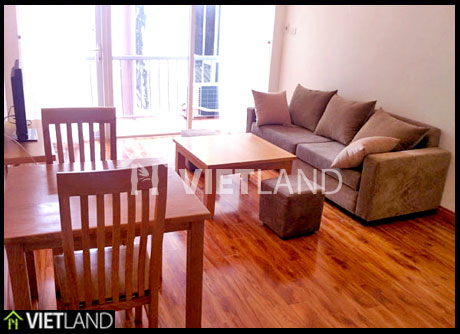 Serviced apartment with 1 bedroom for rent in downtown of Hai Ba Trung district, Ha Noi
