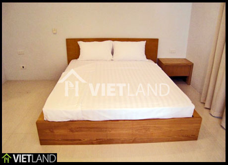 Serviced apartment for rent in Dang Thai Mai street, Tay Ho district, Ha Noi