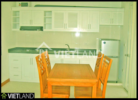 Serviced apartment for rent in Ha Noi near Thu Le Zoo, with all modern facilities