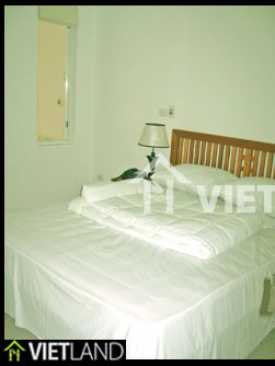 Serviced apartment for rent in Ha Noi near Thu Le Zoo, with all modern facilities