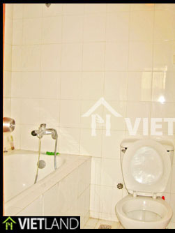 Serviced apartment for rent in Ha Noi, walking distance to Thanh Cong Lake