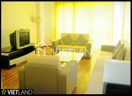 Serviced apartment for rent in Trieu Viet Vuong Str, Hai Ba Dist, Ha Noi