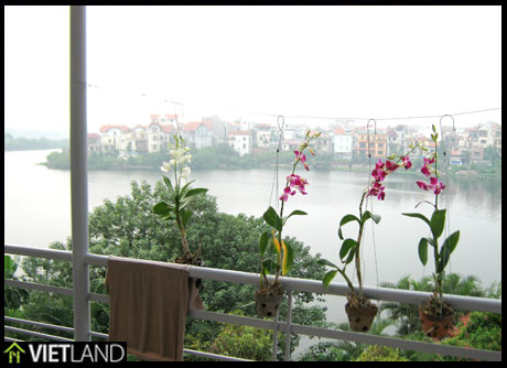 Atlanta serviced apartment for rent in Hai Ba district