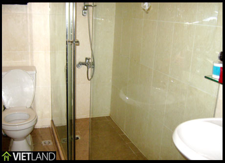 1 bedroom serviced apartment/flat for rent in downtown of Ha Noi