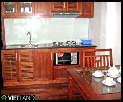 1 bedroom serviced apartment for rent looking to Truc Bach Lake