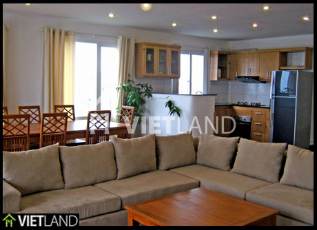 Brand new serviced apartment for rent, 3 beds, full furnishing