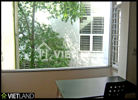 1 bed room serviced flat for rent in downtown of Ha Noi