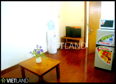 High floor with elevator serviced apartment for rent in Ba Dinh district, Ha Noi