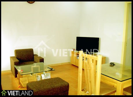 Lakeview  serviced apartment  with 1 bedroom for rent near the Zoo of Ha Noi