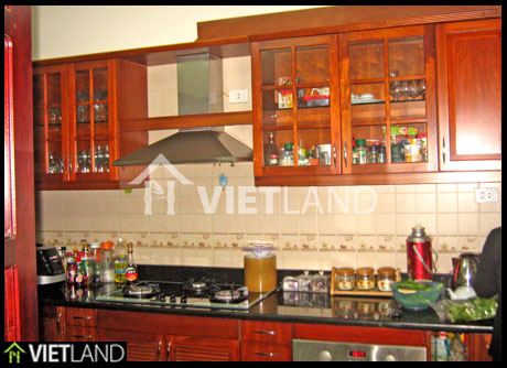 Furnished villa for rent in Ha Noi, Ciputra located