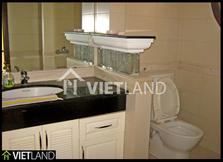 Furnished villa for rent in Ha Noi, Ciputra located